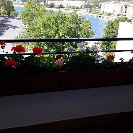 Domenica