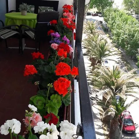 Domenica Omis